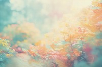  Dreamy pastel Romantic Autumn forest background backgrounds outdoors autumn. AI generated Image by rawpixel.