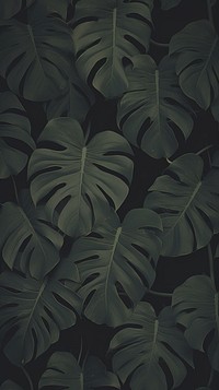  Monstera leaves Green wallpaper green black. AI generated Image by rawpixel.