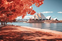 Opera house in autumn opera sea architecture.