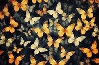 Pressed butterfly background backgrounds animal insect.