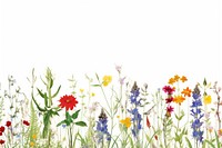Individual wild flowers backgrounds grassland outdoors.