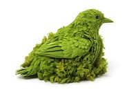 Bird animal parrot plant. AI generated Image by rawpixel.