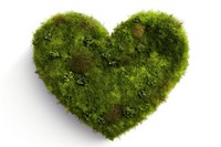 Heart moss plant leaf. AI generated Image by rawpixel.