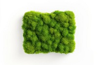 Square moss plant white background. AI generated Image by rawpixel.