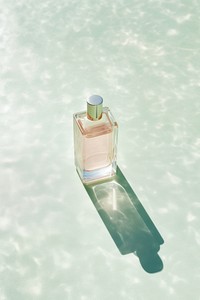 Purfume bottle perfume reflection cosmetics. AI generated Image by rawpixel.