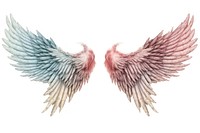 Wings angel bird white background. AI generated Image by rawpixel.