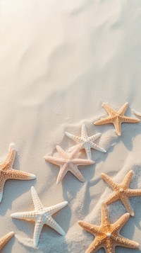  Summer starfish sand invertebrate. AI generated Image by rawpixel.