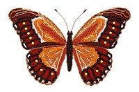  Butterfly insect animal white background. AI generated Image by rawpixel.