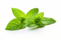 Mint leave plant herbs leaf. AI generated Image by rawpixel.
