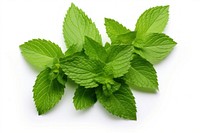 Mint leaves plant herbs leaf. AI generated Image by rawpixel.