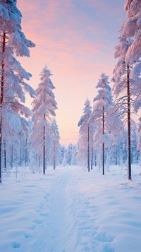 Snow pine forest landscape outdoors nature. AI generated Image by rawpixel.
