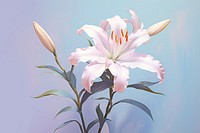 PNG Lilly blossom flower plant. AI generated Image by rawpixel.