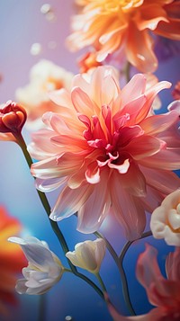  Summer flowers blossom nature dahlia. AI generated Image by rawpixel.