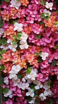  Climber flowers wall backgrounds outdoors nature. AI generated Image by rawpixel.