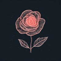 Chalk style rose pattern drawing flower.