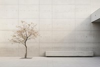 PNG Concrete wall architecture building plant. AI generated Image by rawpixel.