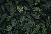 Leaves backgrounds outdoors plant. AI generated Image by rawpixel.