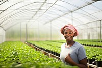 Black woman working in farming greenhouse agriculture gardening.