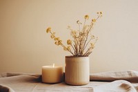 Candle furniture flower plant.