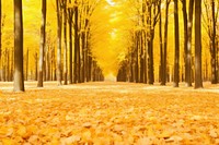  Nature background autumn backgrounds outdoors. AI generated Image by rawpixel.