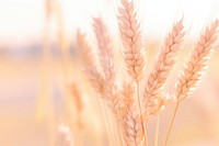  Nature background agriculture backgrounds outdoors. AI generated Image by rawpixel.