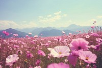  Nature background flower field landscape. AI generated Image by rawpixel.