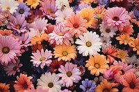  Nature background flower backgrounds outdoors. AI generated Image by rawpixel.