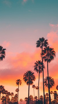  Summer sunset tree outdoors. AI generated Image by rawpixel.