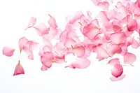 Pink petals falling backgrounds flower plant. AI generated Image by rawpixel.