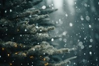 Spruce tree christmas outdoors winter. AI generated Image by rawpixel.