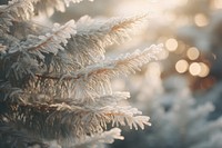 Spruce tree outdoors winter nature. AI generated Image by rawpixel.