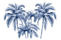 Antique of palm tree sketch outdoors drawing.