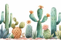 Cactus garden plant white background creativity.