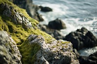 Extreme close up of ireland outdoors nature algae.