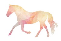 Horse animal mammal white background.
