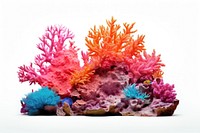 Coral reef aquarium nature sea.