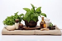 Spa massage herbs bottle plant.
