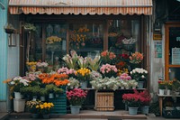 Minimal flower shop outside plant architecture arrangement.