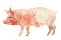 Pig animal mammal boar.