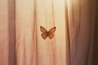 Shadow of butterfly under the curtain fragility wildlife sunlight.