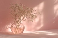 Gypsophila in the glass vase flower plant pink.