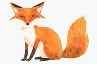 Fox animal mammal carnivora.