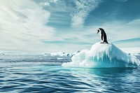 Penguin ice outdoors iceberg.