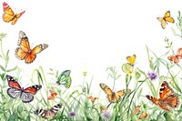 Butterflies border butterfly animal insect.