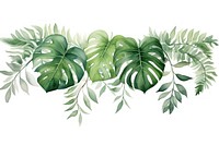 Tropical leaves plant green leaf.