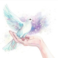 Hand holding dove in Watercolor style animal human bird.