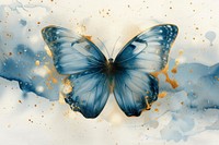 Butterfly watercolor background painting animal insect.