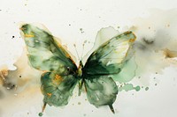 Butterfly watercolor background painting insect animal.