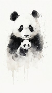 Panda and baby wildlife animal mammal.