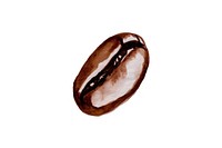 Coffee bean in the style of minimalist illustrator white background coffee beans freshness.